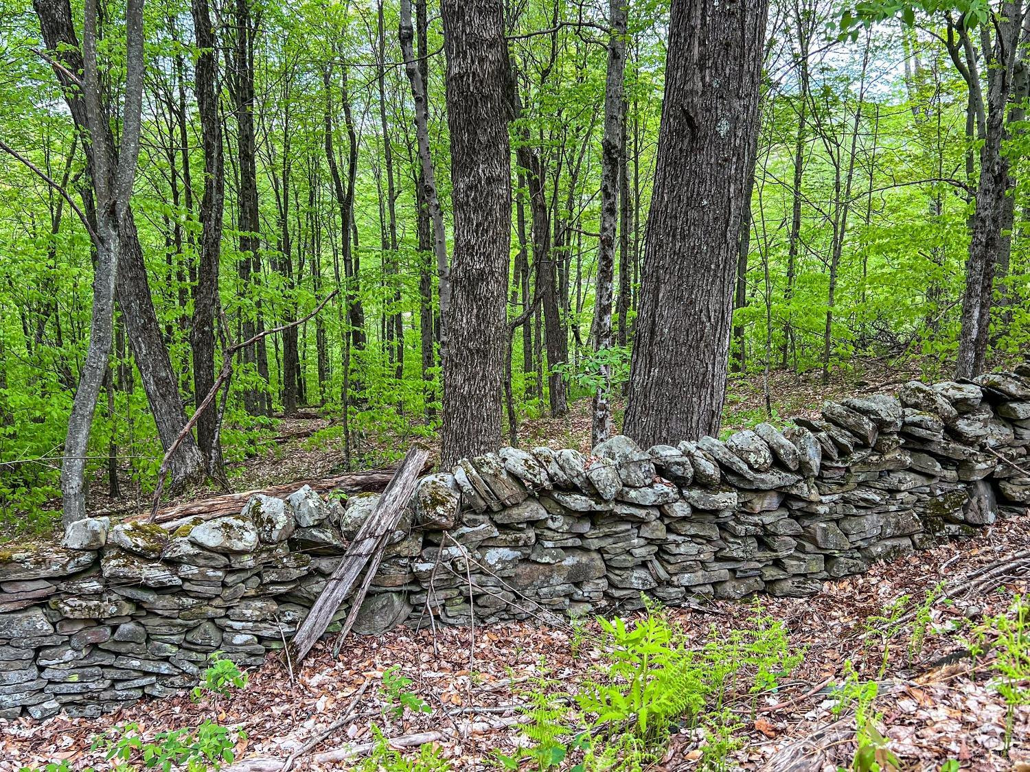0 State Highway Andes, NY 13731 - Photo 82 of 90 a large yard with lots of green space and trees
