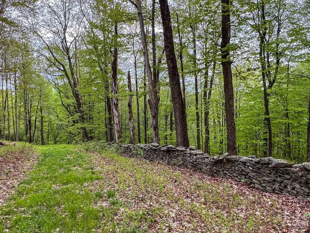 $670,000 | 0 State Highway, Andes, NY 13731