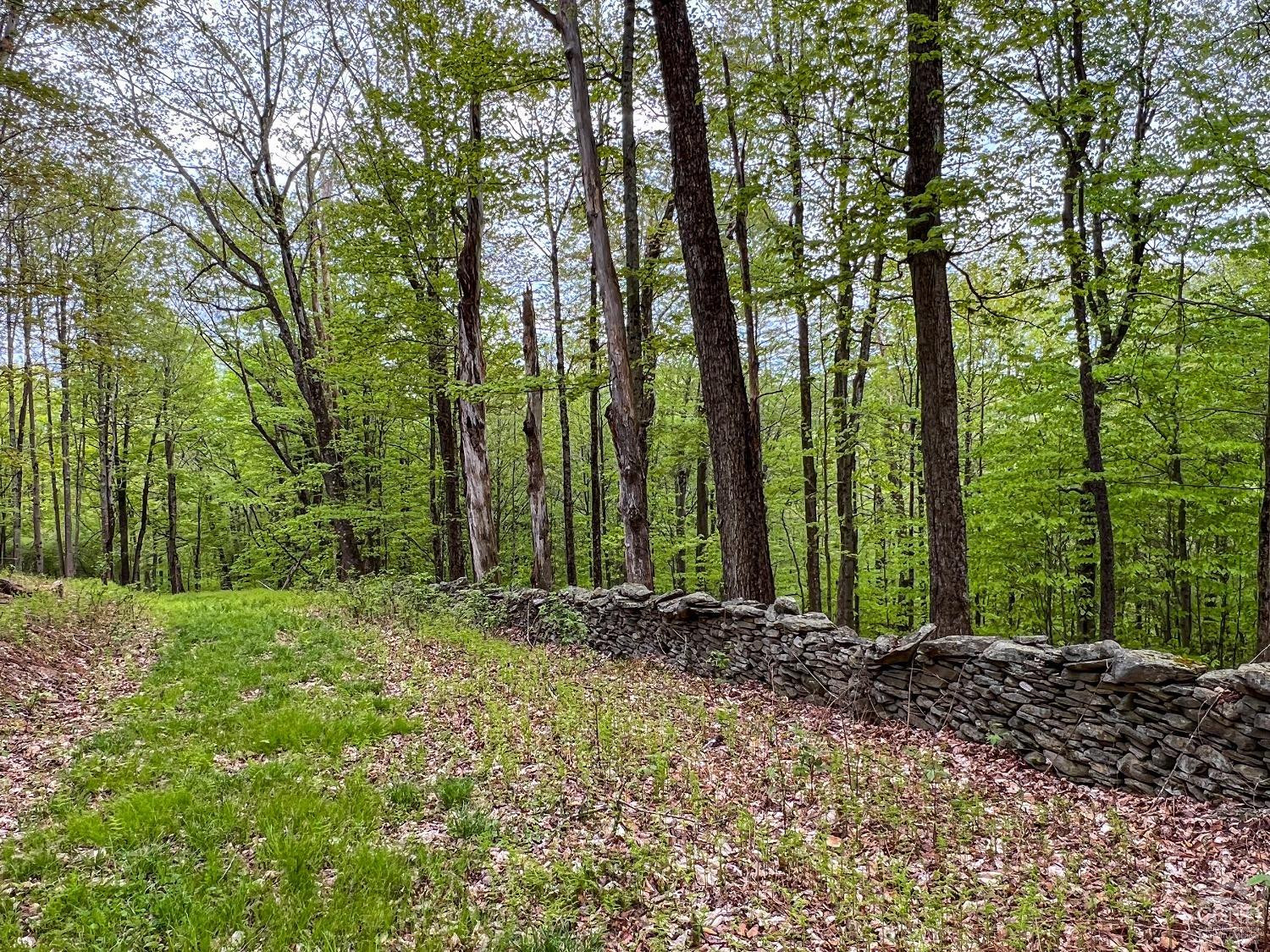 0 State Highway Andes, NY 13731 - Photo 83 of 90 a big yard with lots of green space and trees