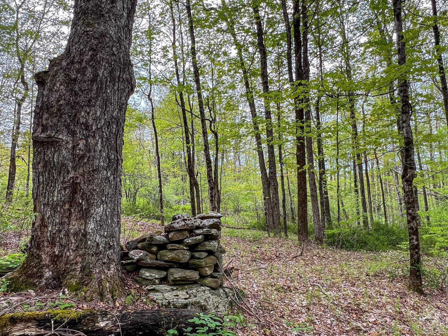 0 State Highway Andes, NY 13731 - Photo 85 of 90 Photo 85