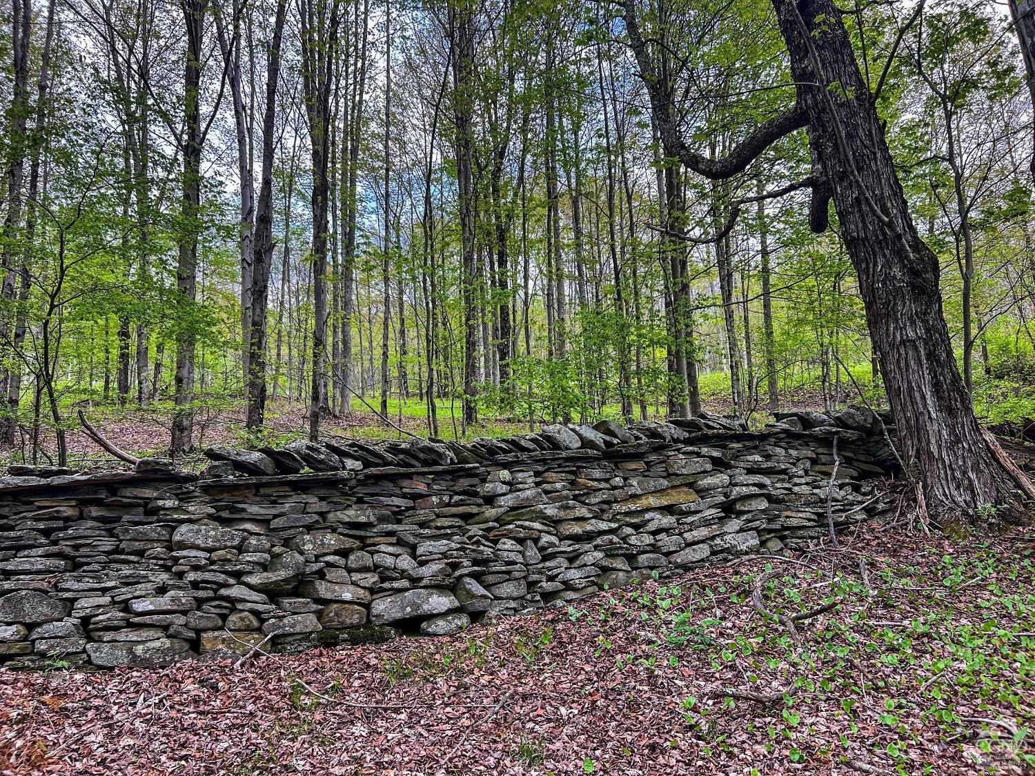 0 State Highway Andes, NY 13731 - Photo 86 of 90 a view of a yard with plants and large trees