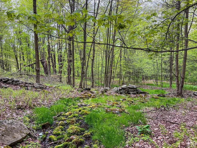 $670,000 | 0 State Highway, Andes, NY 13731