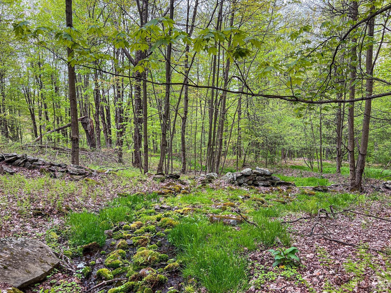 0 State Highway Andes, NY 13731 - Photo 88 of 90 Photo 88