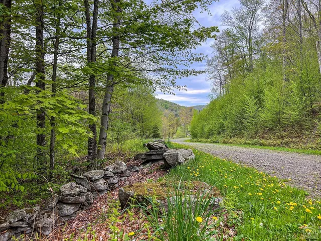 $670,000 | 0 State Highway, Andes, NY 13731