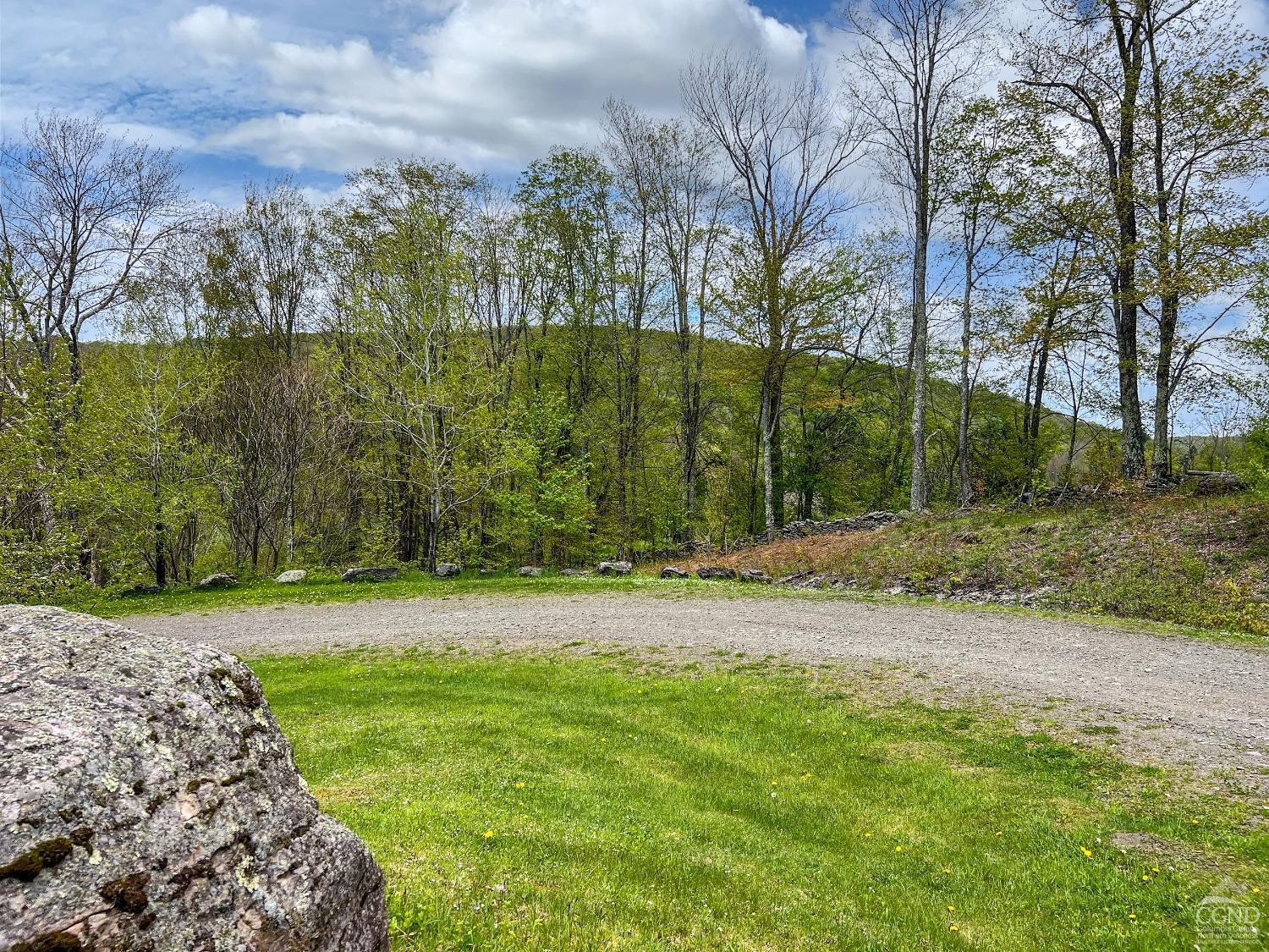 0 State Highway Andes, NY 13731 - Photo 10 of 90 a view of a backyard with large trees