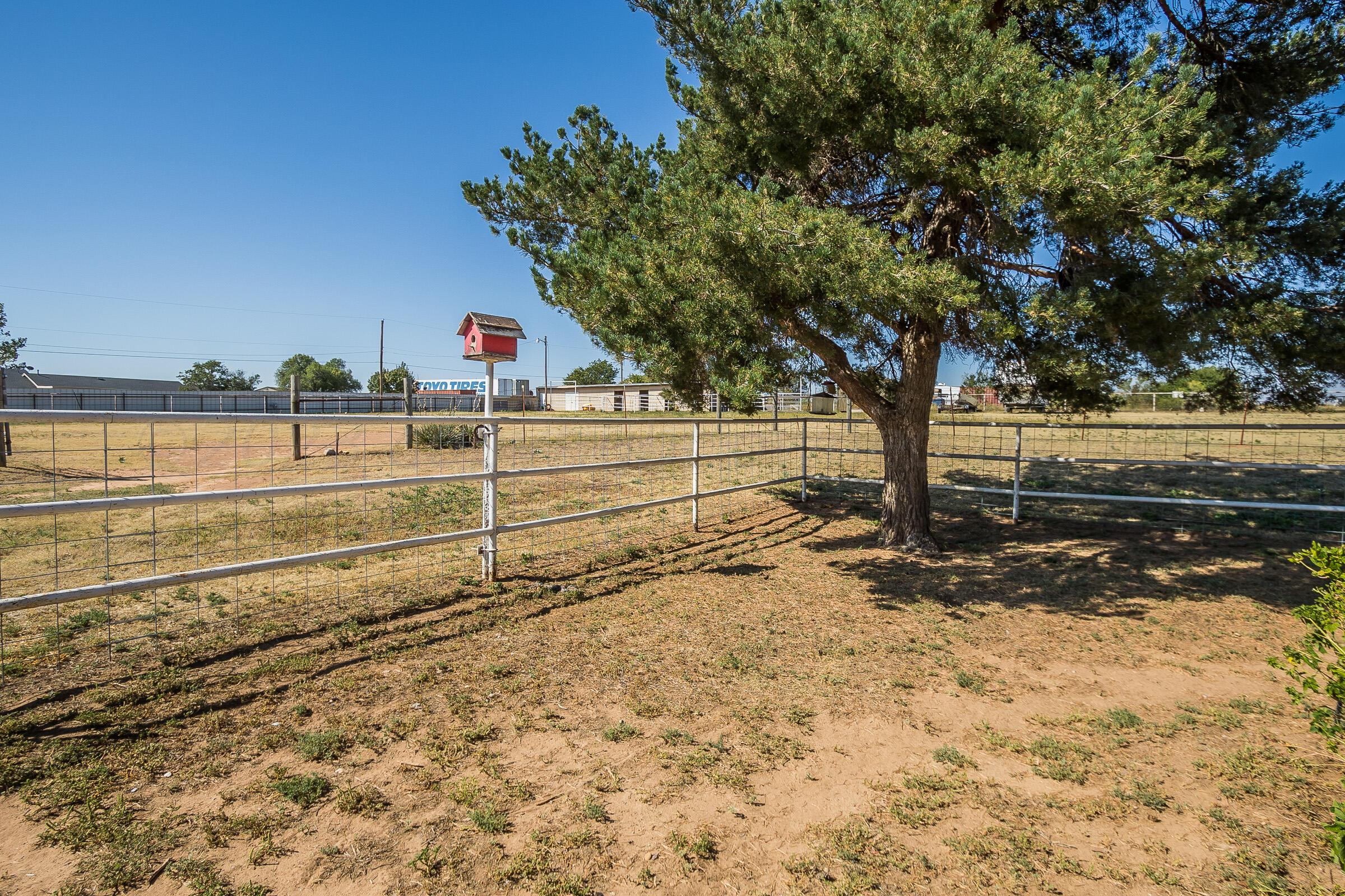 300 Ravine Trail Amarillo, TX 79108 - Photo 32 of 39 023_Back Yard