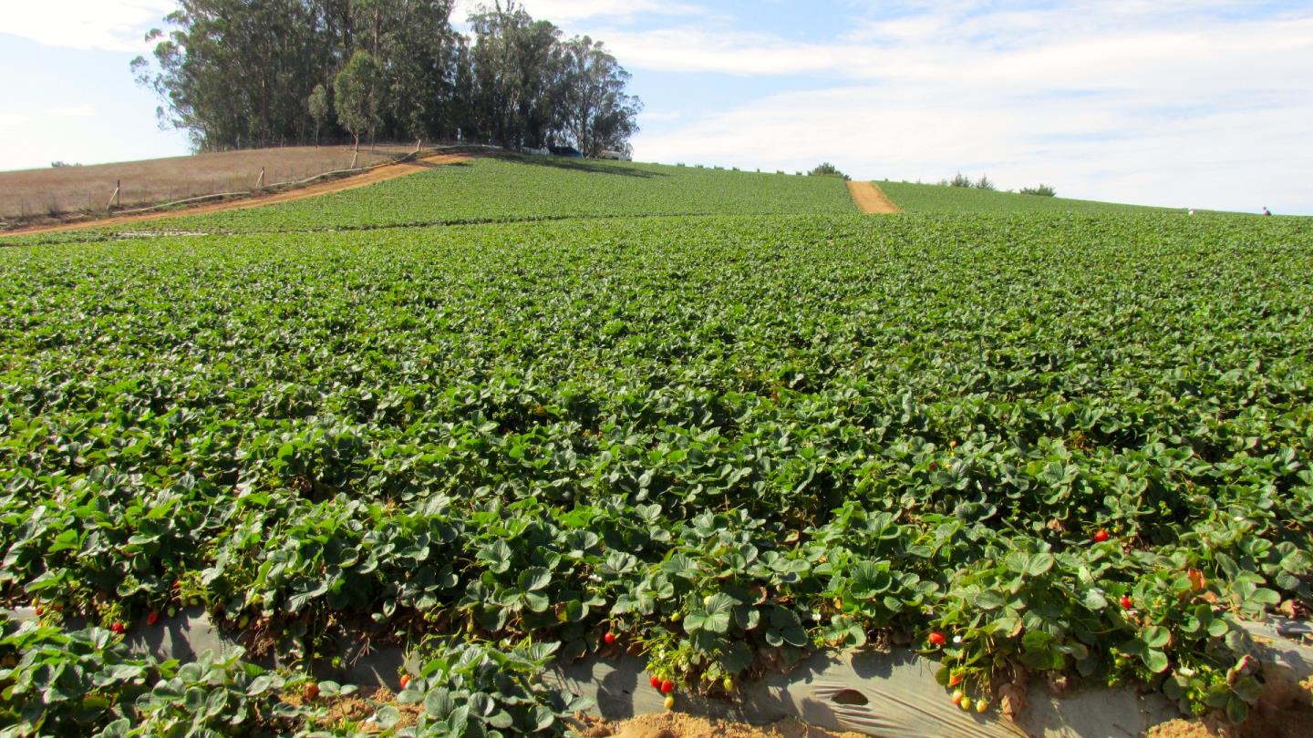 175 Highway 156 Prunedale, CA 93907 - Photo 11 of 27