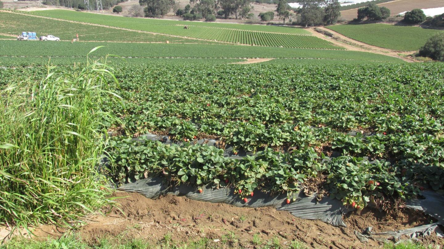 175 Highway 156 Prunedale, CA 93907 - Photo 12 of 27