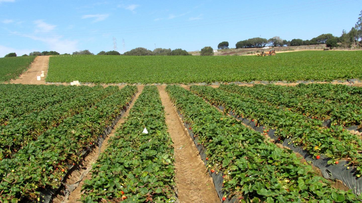 175 Highway 156 Prunedale, CA 93907 - Photo 13 of 27