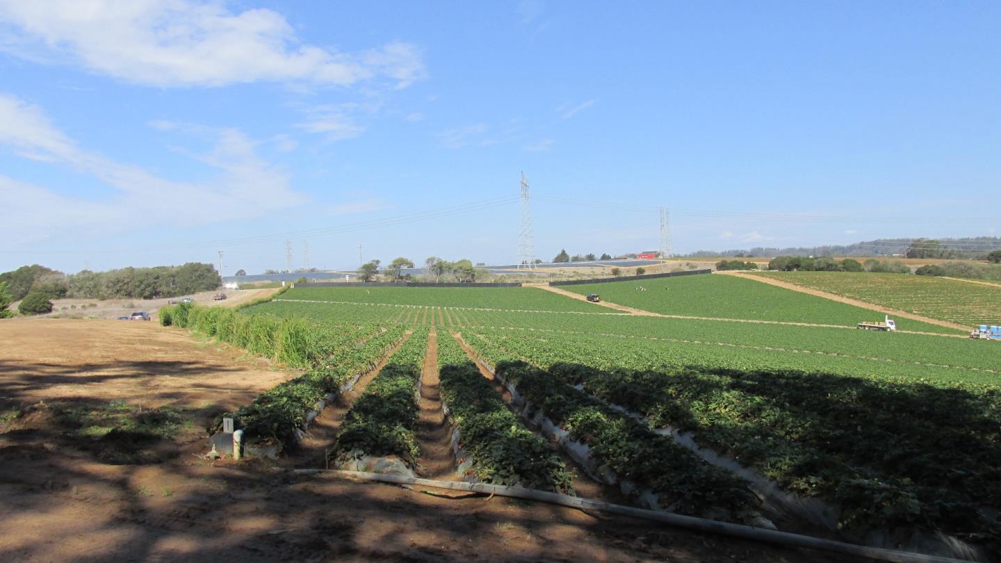 175 Highway 156 Prunedale, CA 93907 - Photo 14 of 27