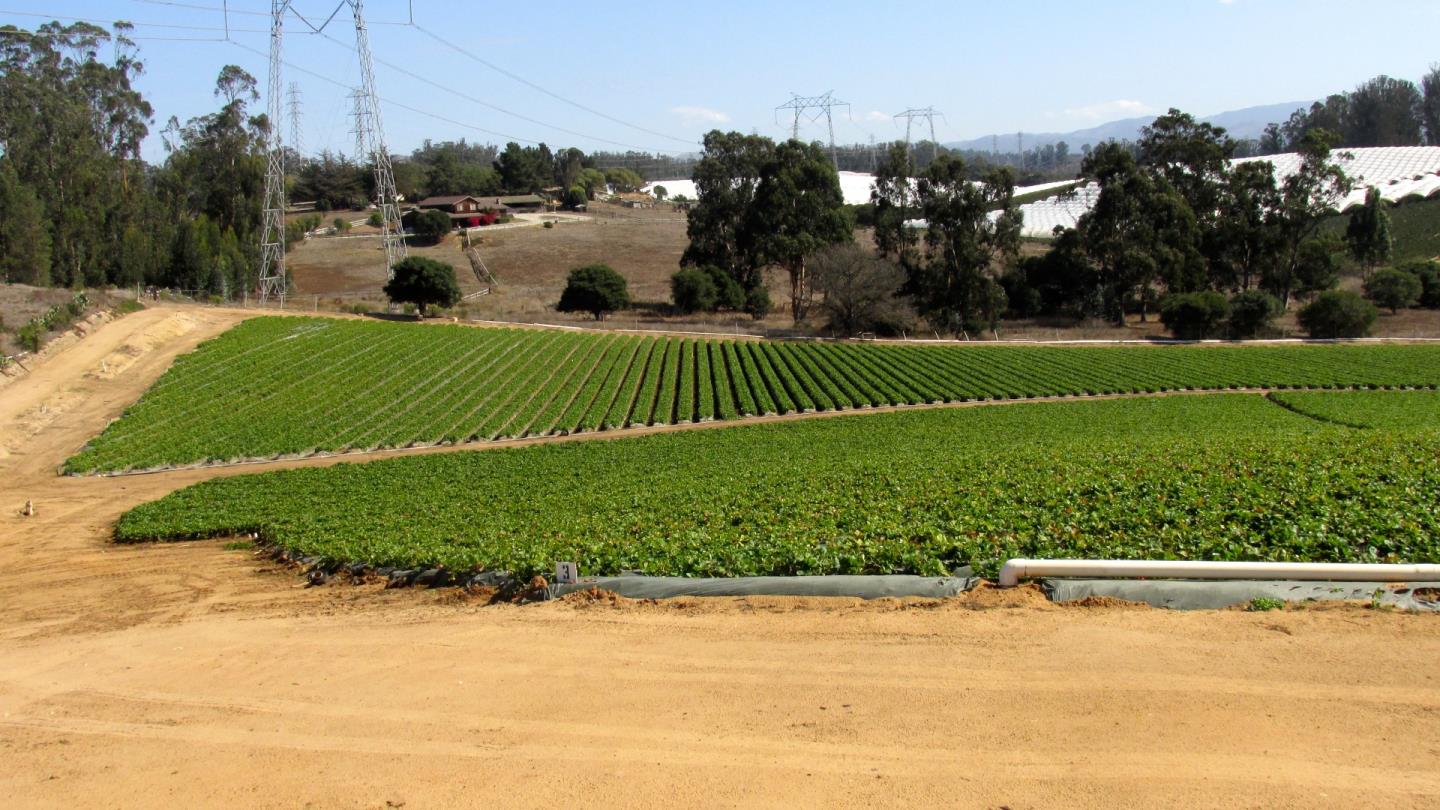 175 Highway 156 Prunedale, CA 93907 - Photo 15 of 27