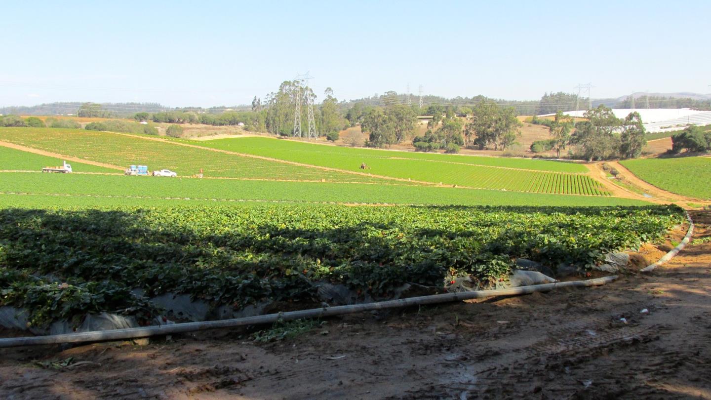 175 Highway 156 Prunedale, CA 93907 - Photo 16 of 27