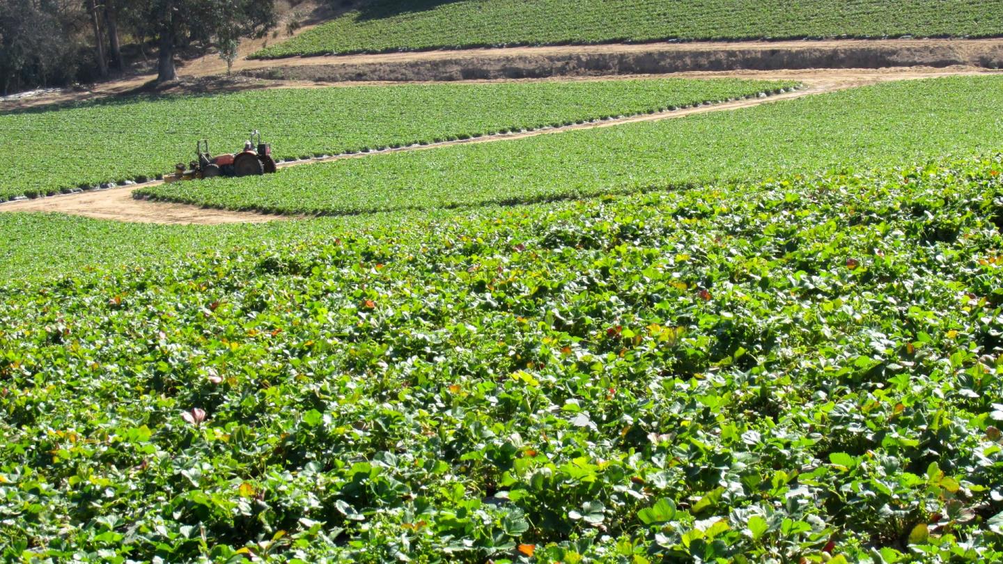 175 Highway 156 Prunedale, CA 93907 - Photo 17 of 27