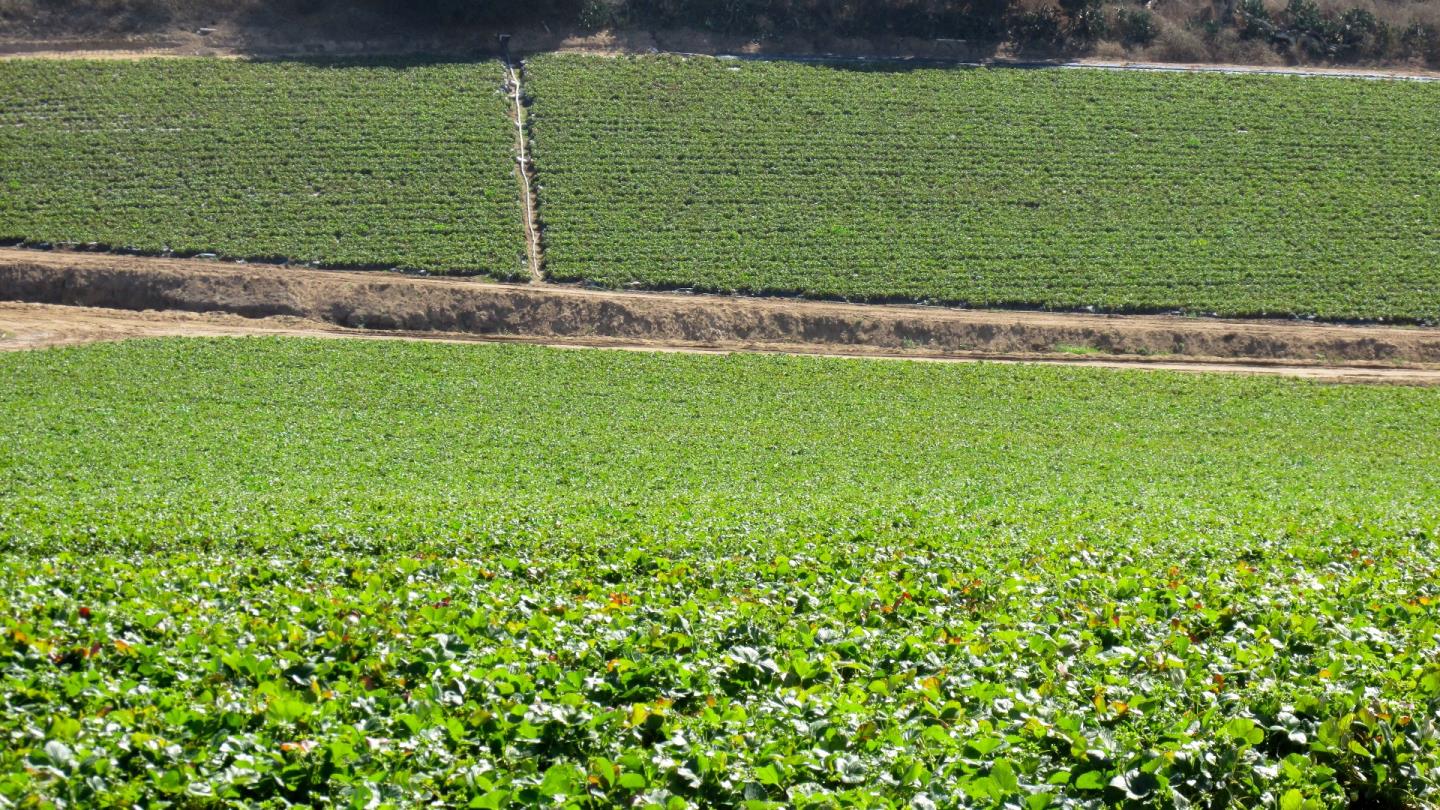 175 Highway 156 Prunedale, CA 93907 - Photo 18 of 27