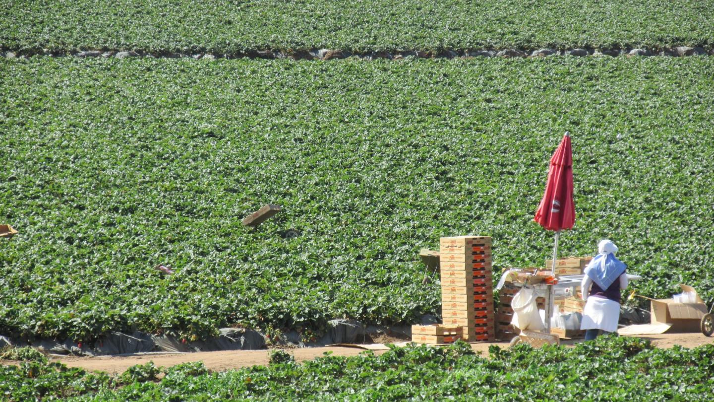 175 Highway 156 Prunedale, CA 93907 - Photo 19 of 27