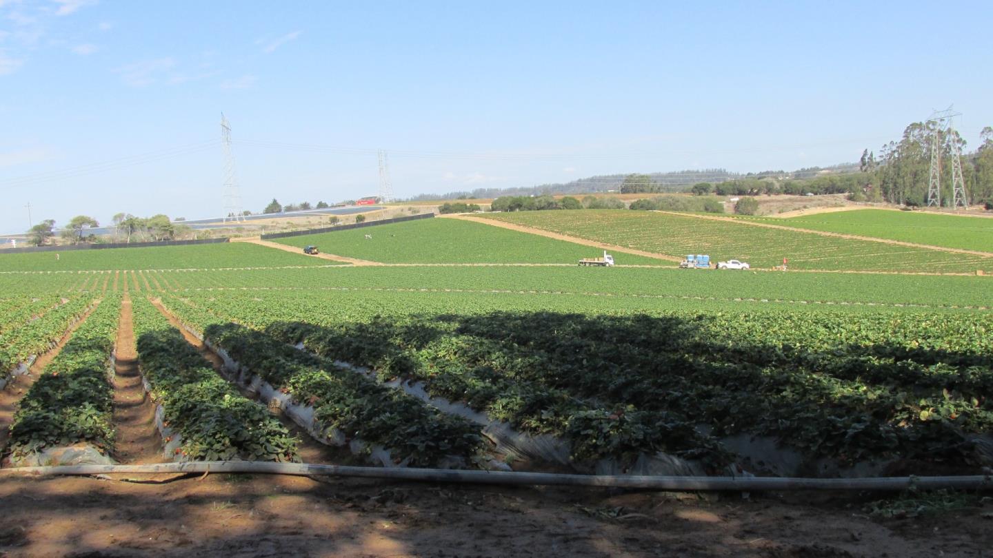 175 Highway 156 Prunedale, CA 93907 - Photo 20 of 27