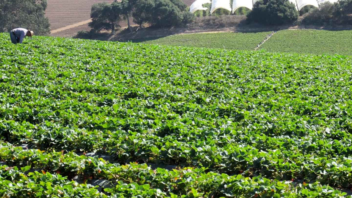 175 Highway 156 Prunedale, CA 93907 - Photo 22 of 27