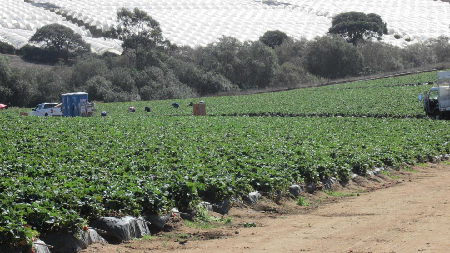 175 Highway 156 Prunedale, CA 93907 - Photo 23 of 27