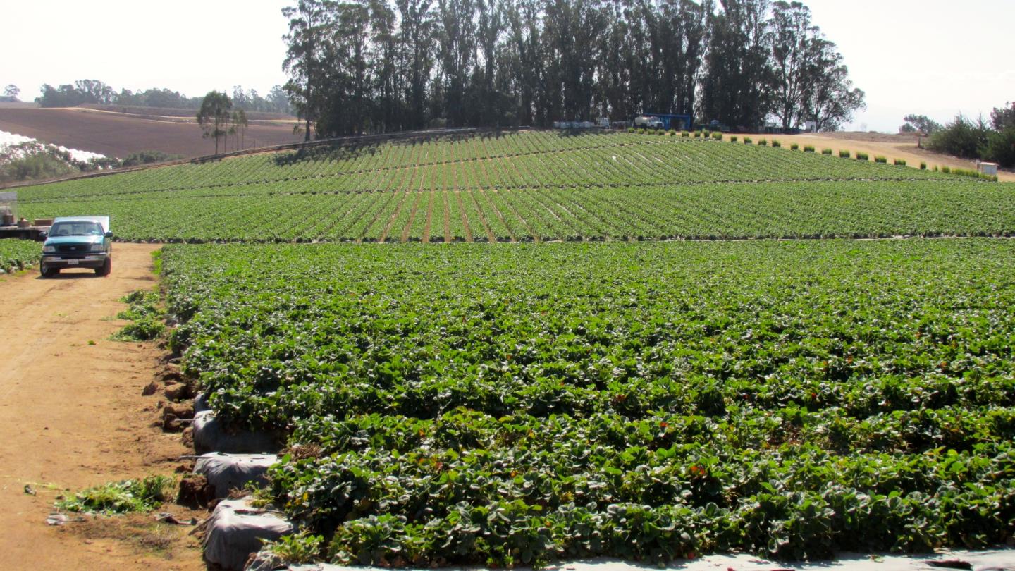 175 Highway 156 Prunedale, CA 93907 - Photo 24 of 27