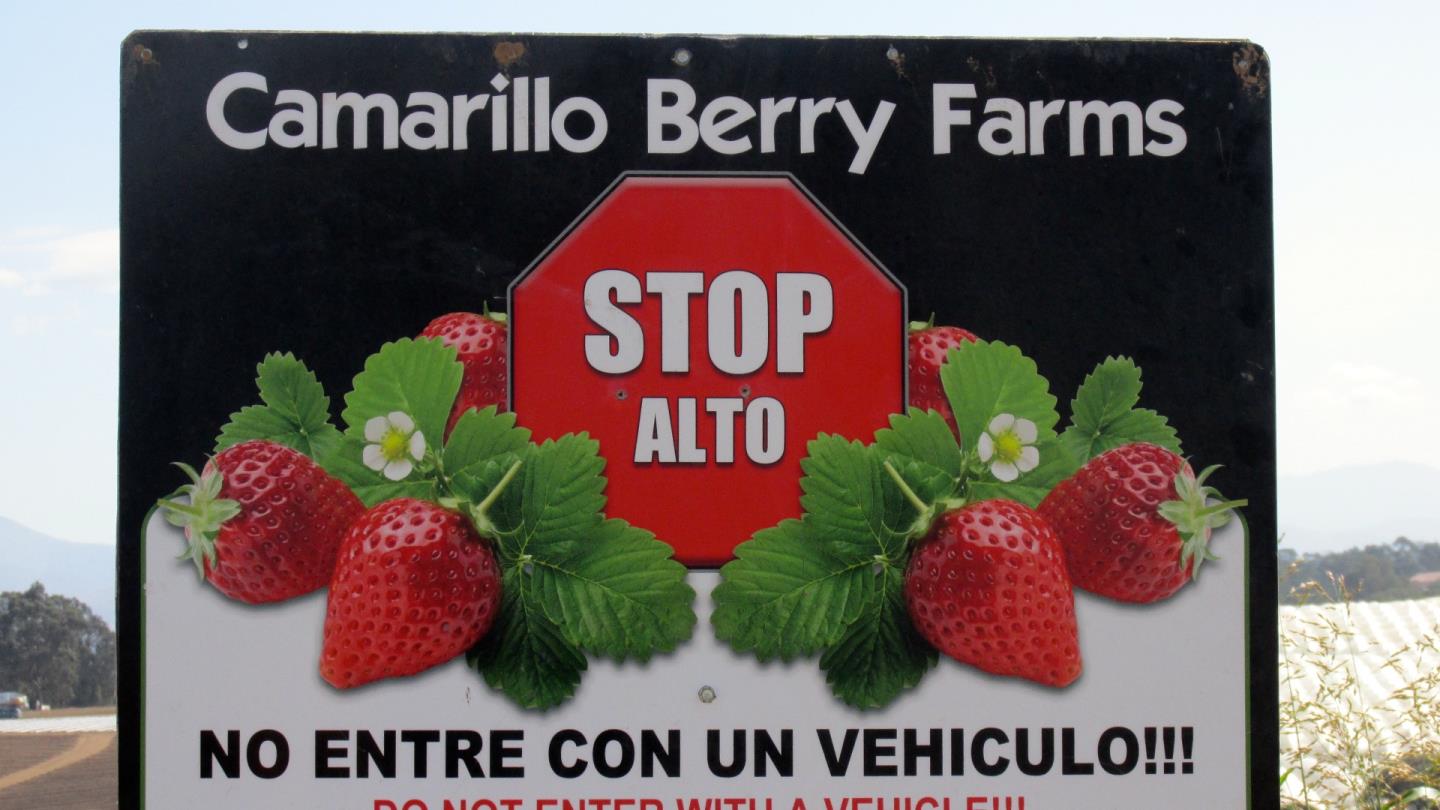 175 Highway 156 Prunedale, CA 93907 - Photo 25 of 27