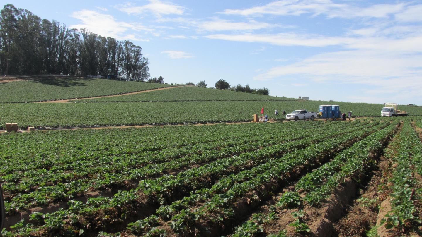 175 Highway 156 Prunedale, CA 93907 - Photo 3 of 27