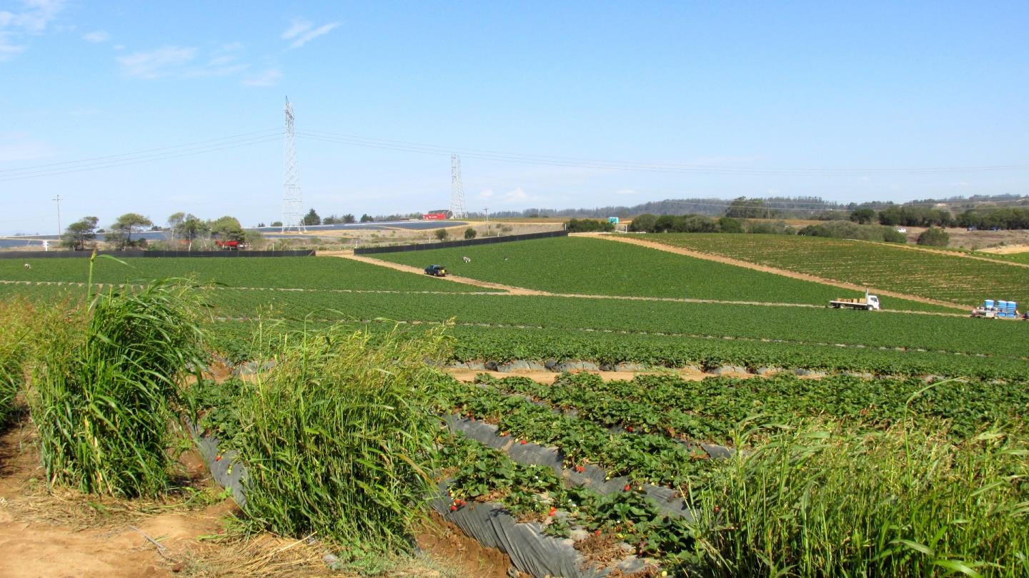 175 Highway 156 Prunedale, CA 93907 - Photo 4 of 27