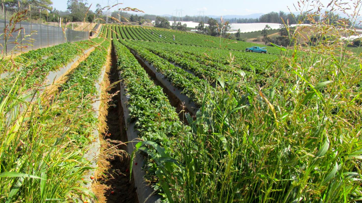 175 Highway 156 Prunedale, CA 93907 - Photo 6 of 27