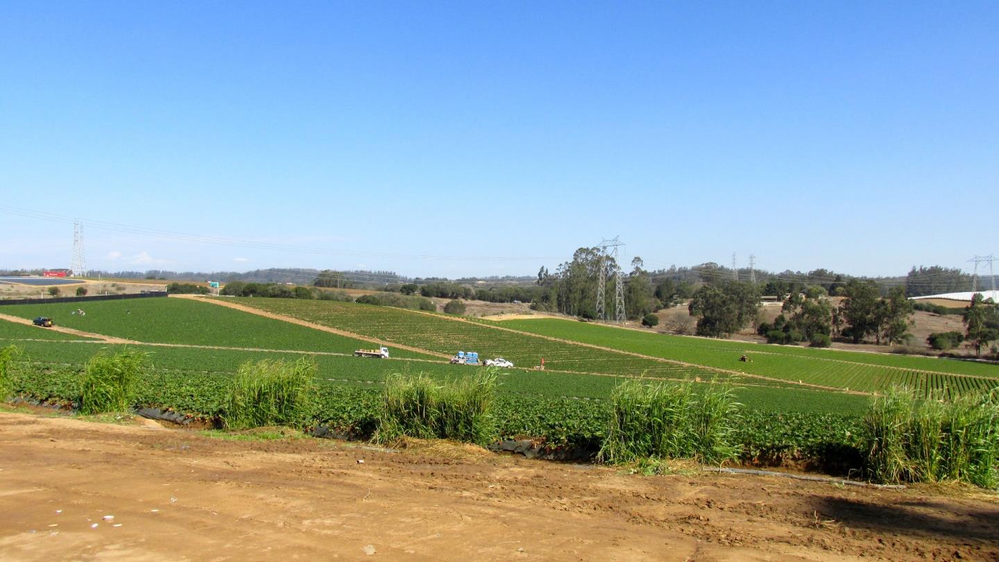 175 Highway 156 Prunedale, CA 93907 - Photo 7 of 27