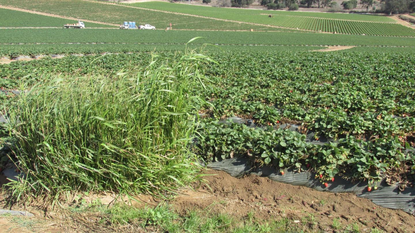 175 Highway 156 Prunedale, CA 93907 - Photo 8 of 27