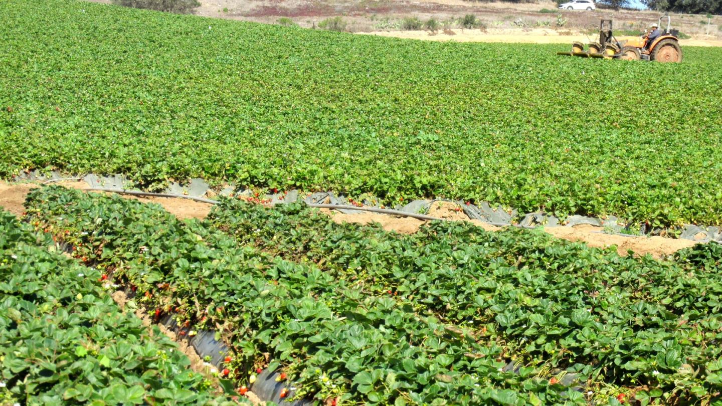 175 Highway 156 Prunedale, CA 93907 - Photo 10 of 27