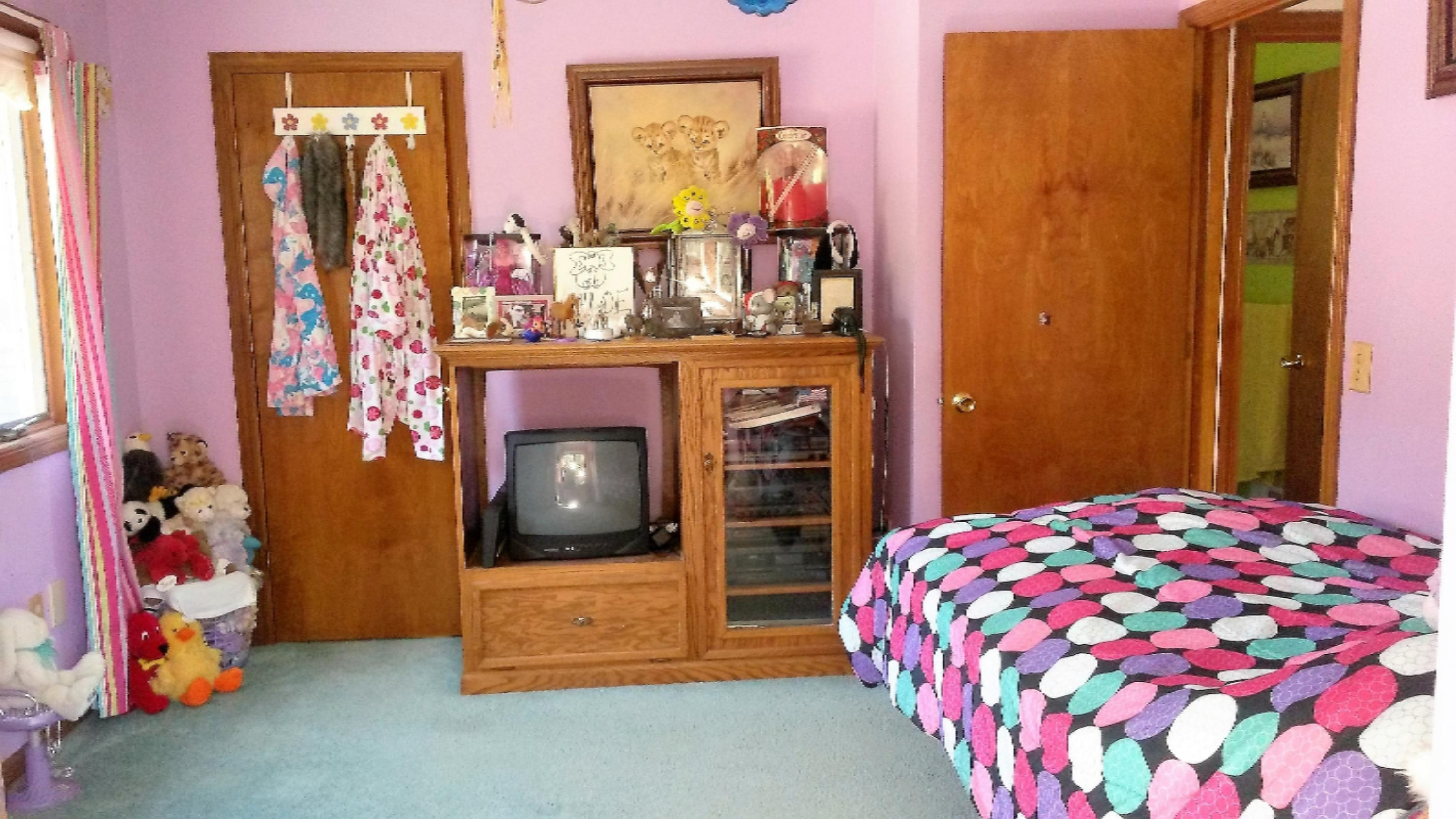 6362 Cherry Valley Road Middleville, MI 49333 - Photo 14 of 24 20160629_160514