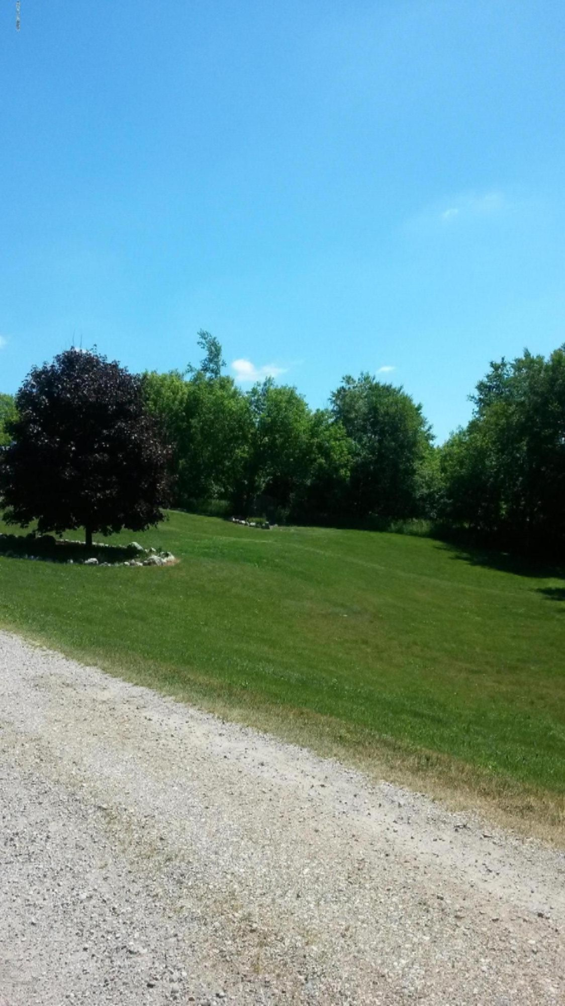 6362 Cherry Valley Road Middleville, MI 49333 - Photo 21 of 24 20160603_122451