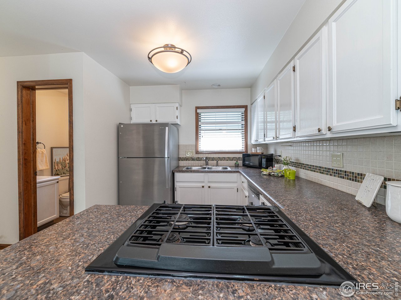 933 East Prospect Road, Unit B Fort Collins, CO 80525 - Photo 5 of 23 Gas Cooktop