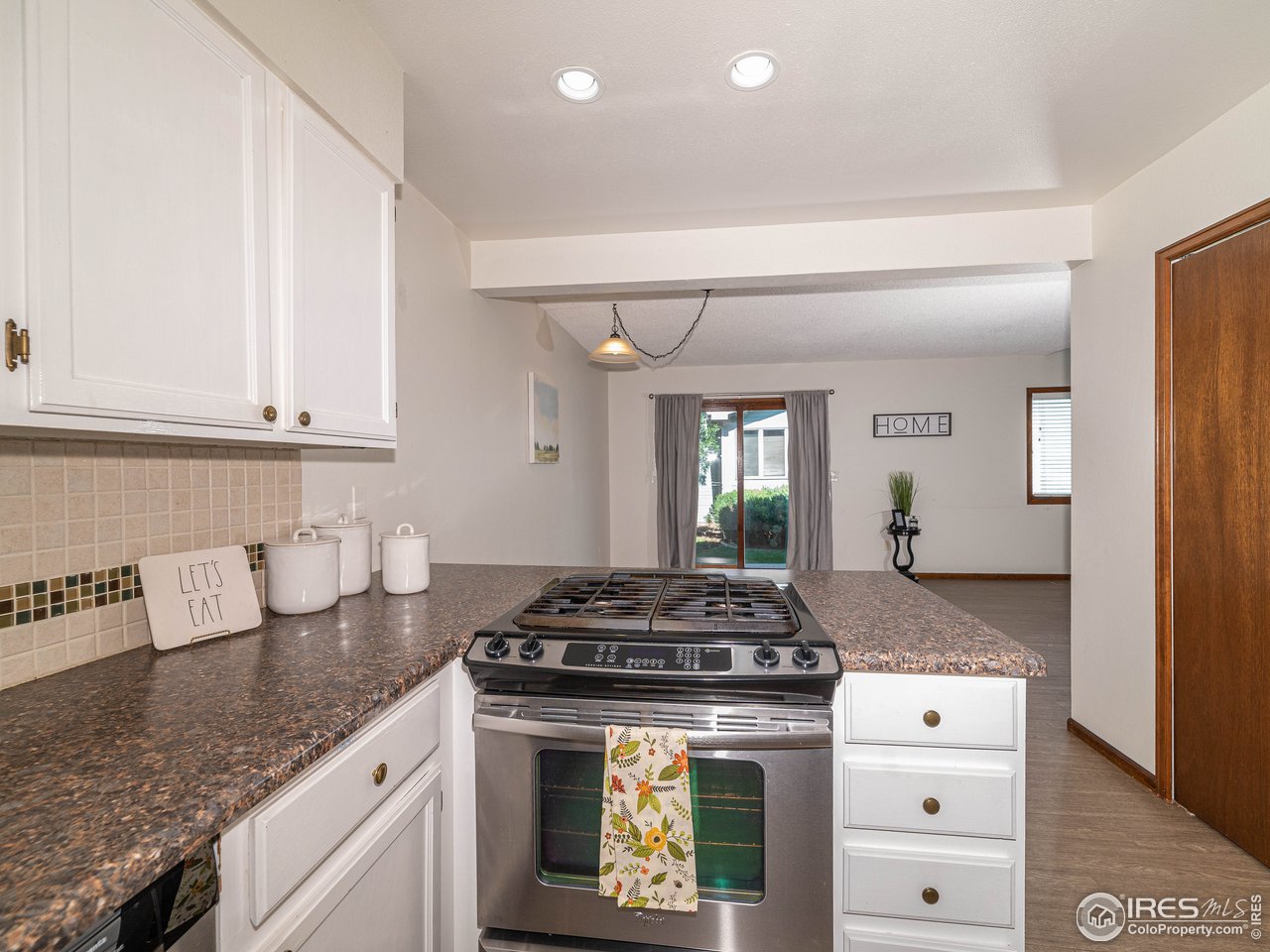 933 East Prospect Road, Unit B Fort Collins, CO 80525 - Photo 6 of 23 Stainless Appliances