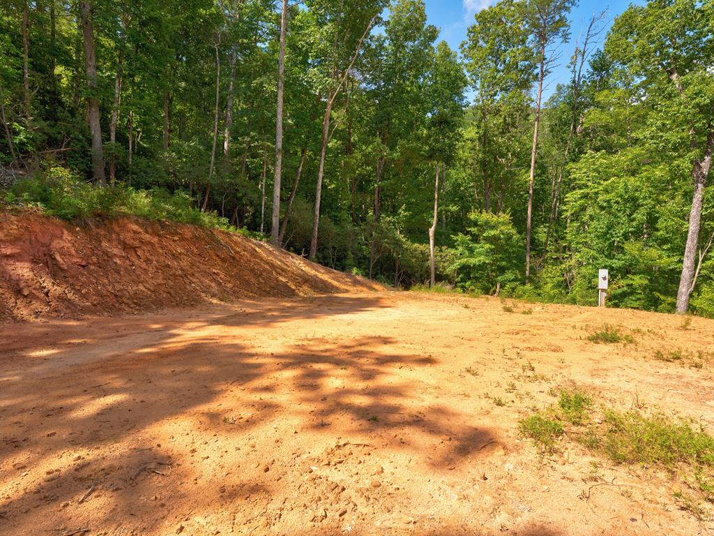 2039 Crowe Road Murphy, NC 28906 - Photo 11 of 36 Gallery Image 11