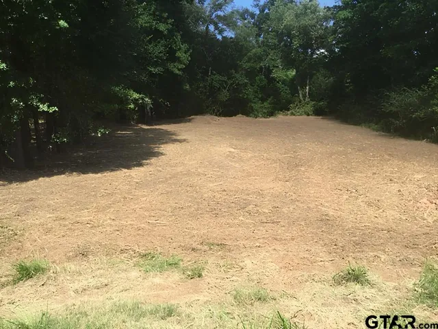 a view of empty space with green space