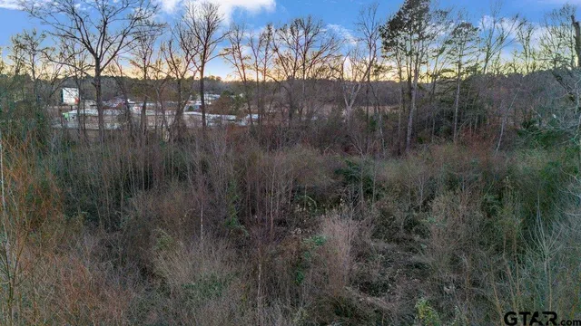 a view of river covered with trees
