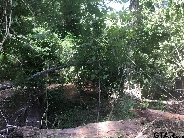 a backyard of a house with lots of trees