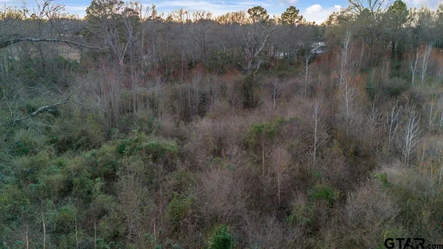 a view of a lush green forest with trees and wooden fence