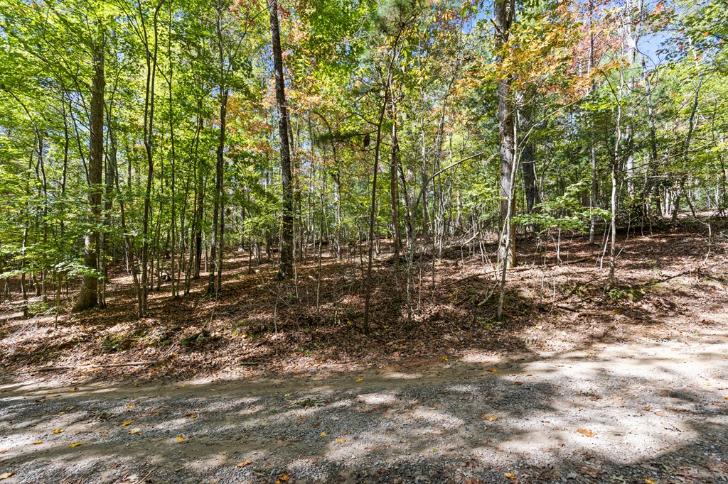 Lot 1-2 Timberlake Estates Blue Ridge, GA 30513 - Photo 4 of 20 Gallery Image 4