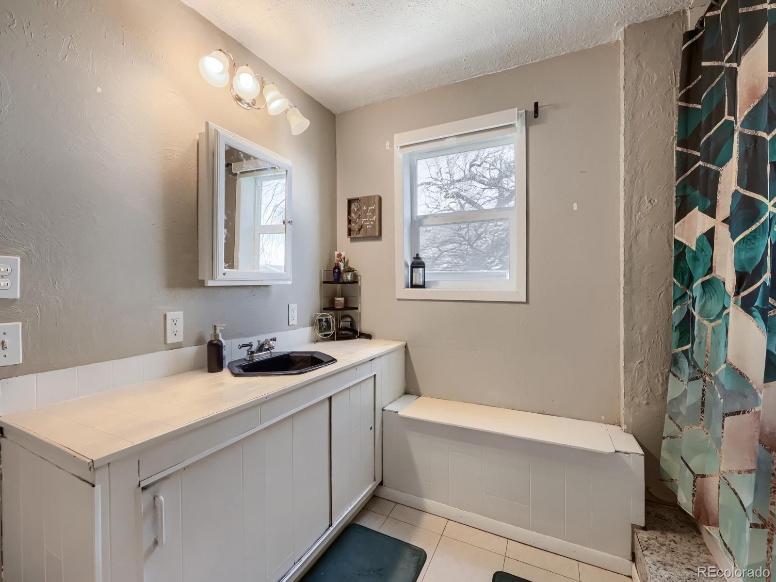 24379 Main Street Elbert, CO 80106 - Photo 21 of 29 a bathroom with a sink a toilet and shower