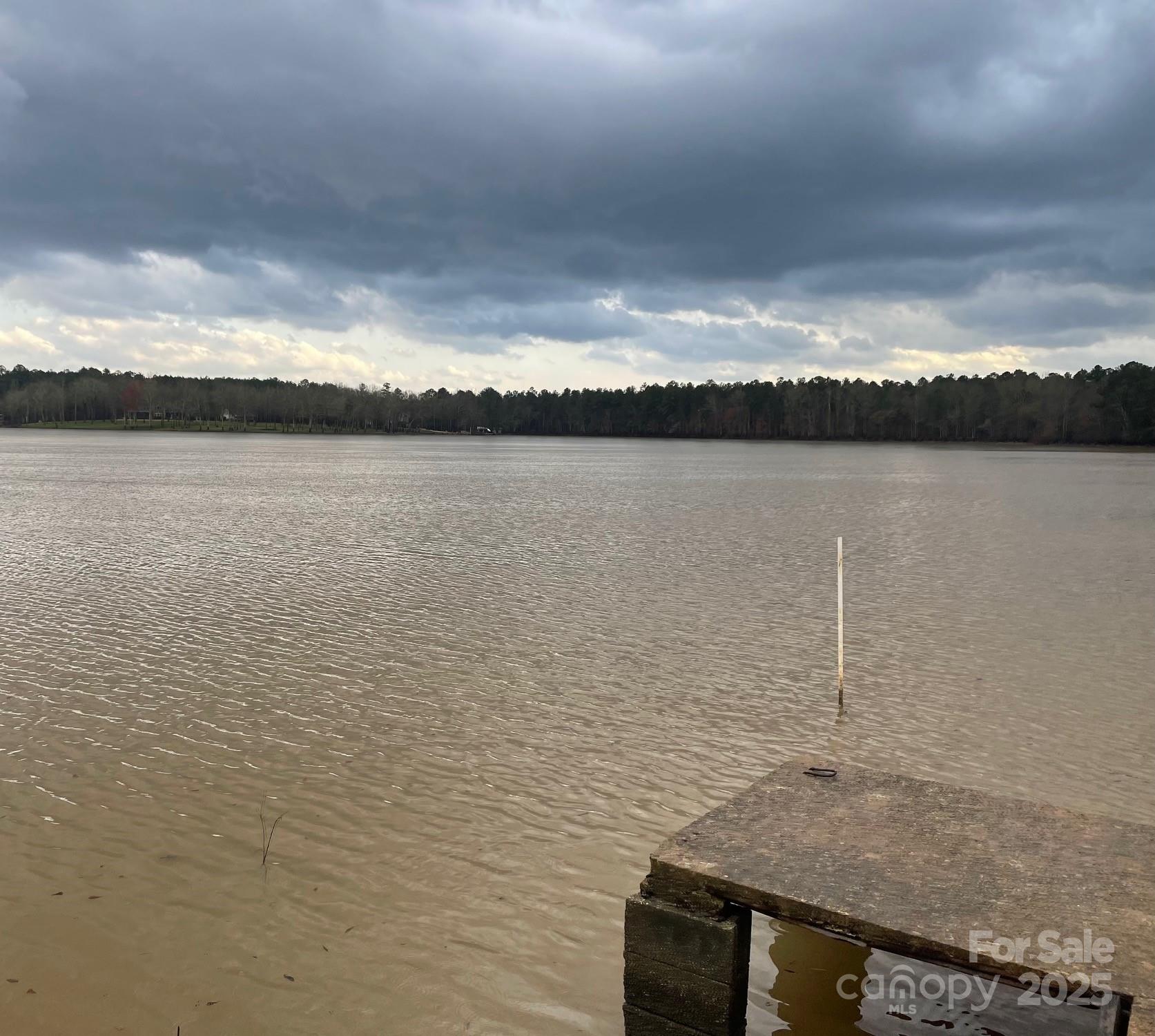 207 Rion Circle Winnsboro, SC 29180 - Photo 1 of 17 a view of a lake view