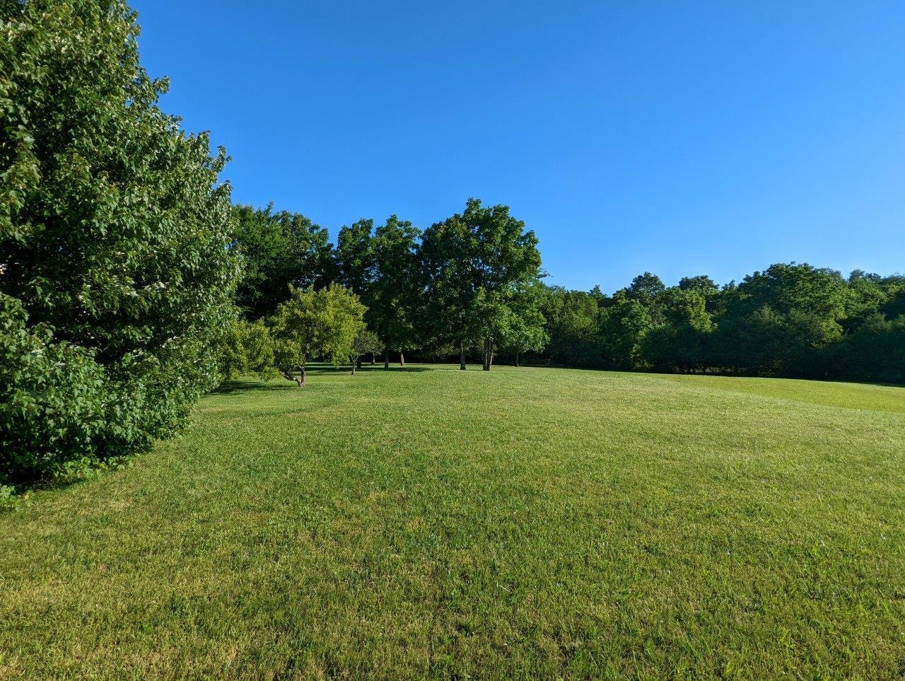 2407 Bob Cheek Road Lewisburg, TN 37091 - Photo 28 of 39 Gallery Image 28
