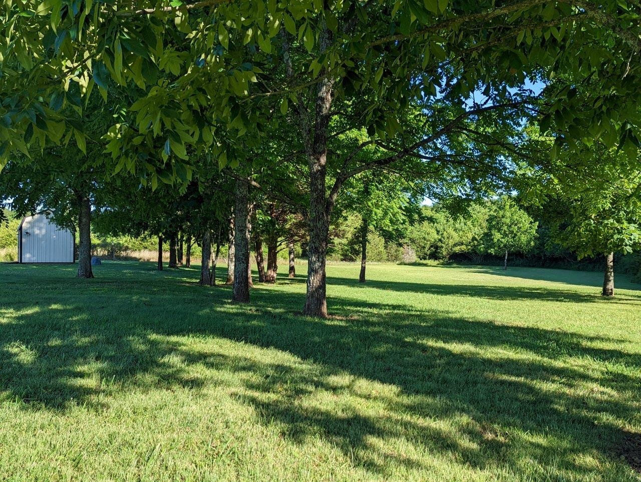 2407 Bob Cheek Road Lewisburg, TN 37091 - Photo 30 of 39 Gallery Image 30