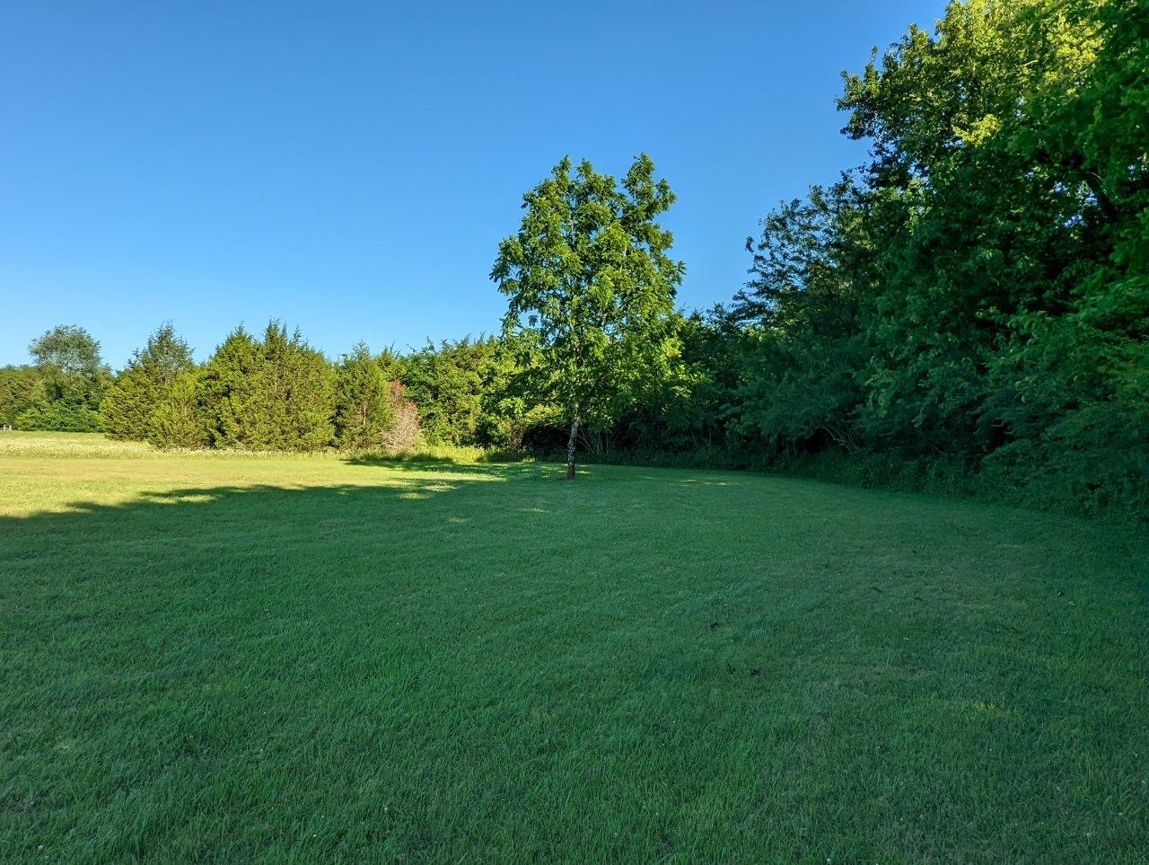 2407 Bob Cheek Road Lewisburg, TN 37091 - Photo 31 of 39 Gallery Image 31