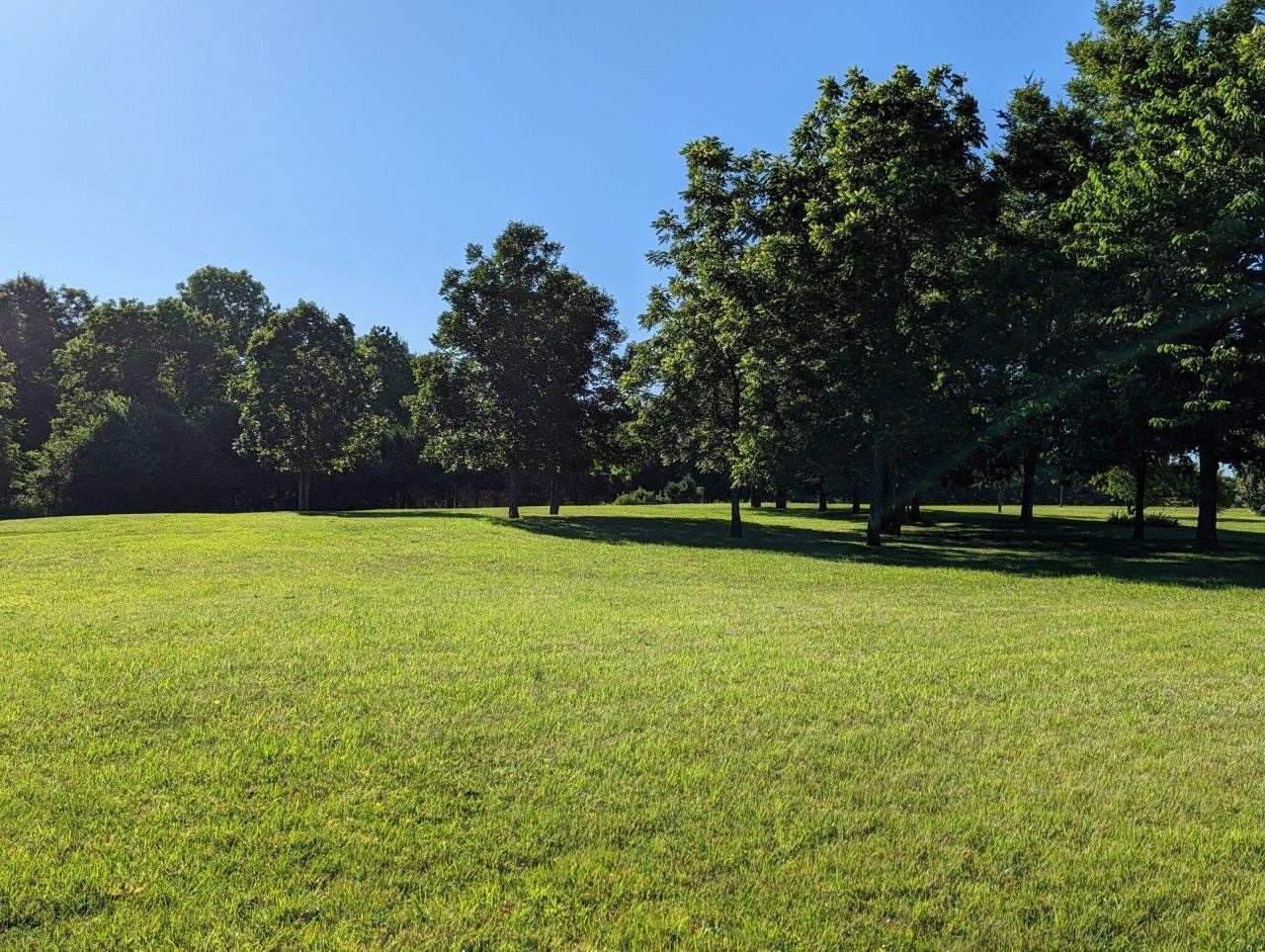 2407 Bob Cheek Road Lewisburg, TN 37091 - Photo 33 of 39 Gallery Image 33