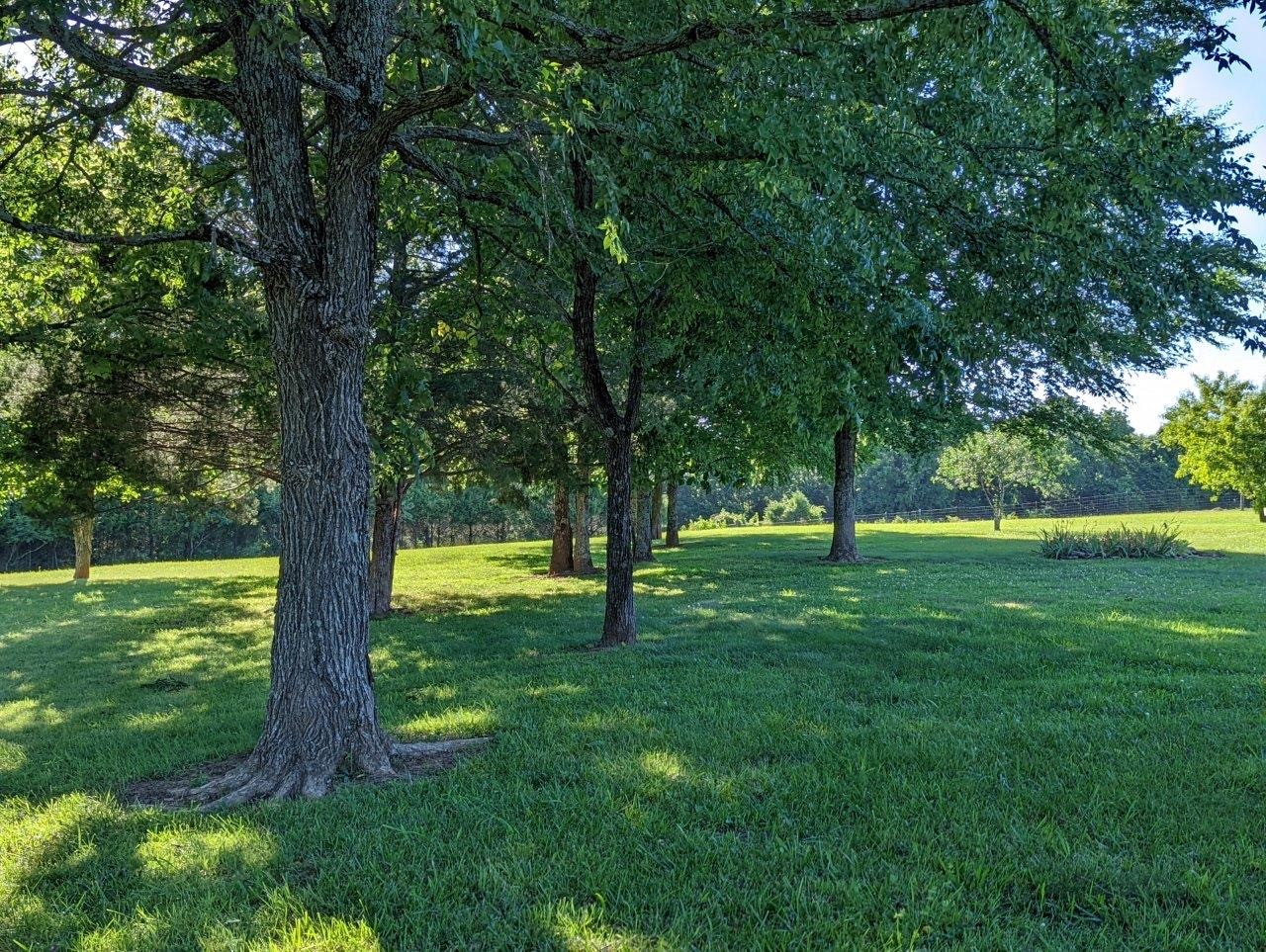 2407 Bob Cheek Road Lewisburg, TN 37091 - Photo 34 of 39 Gallery Image 34