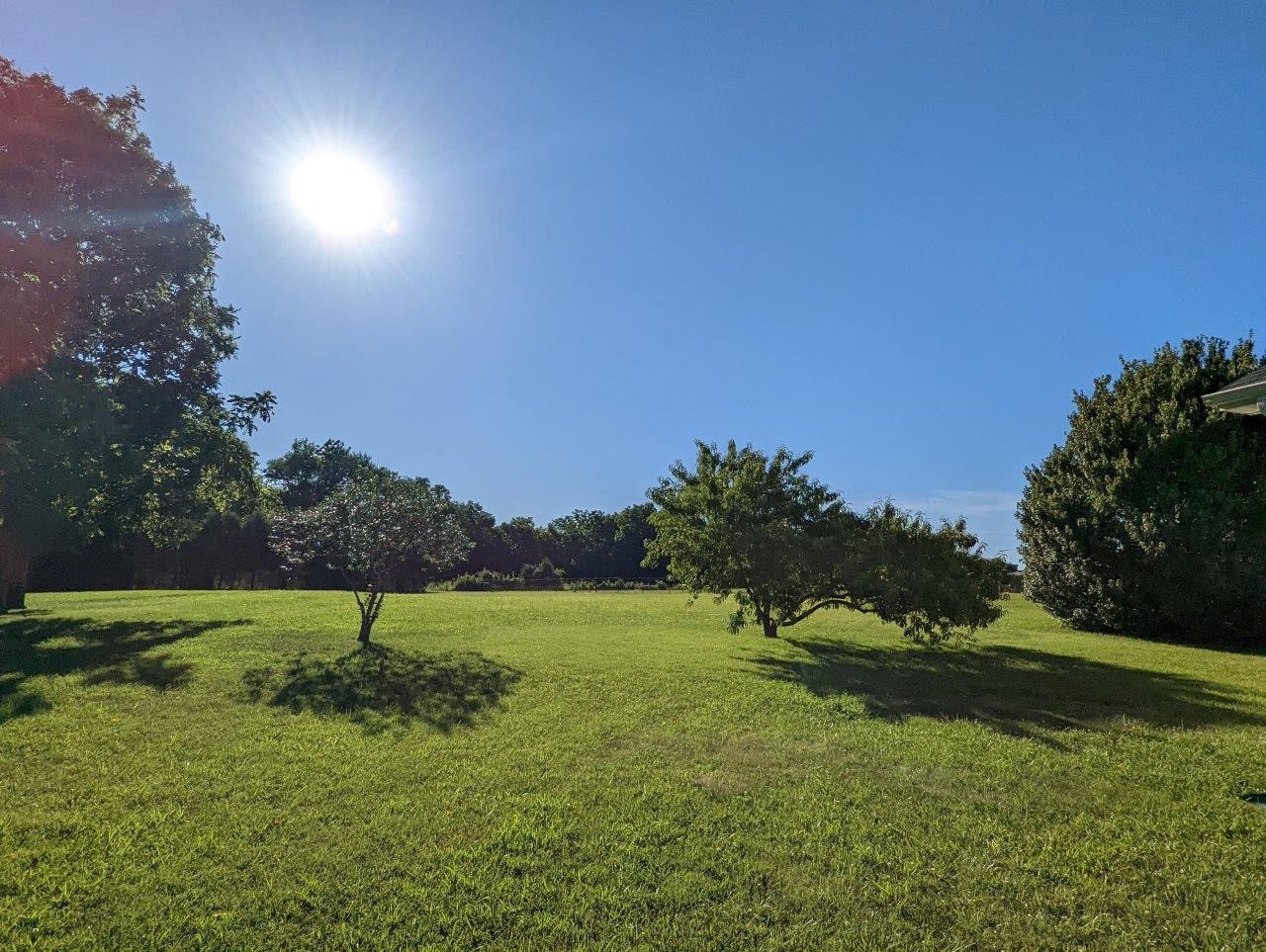 2407 Bob Cheek Road Lewisburg, TN 37091 - Photo 36 of 39 Gallery Image 36
