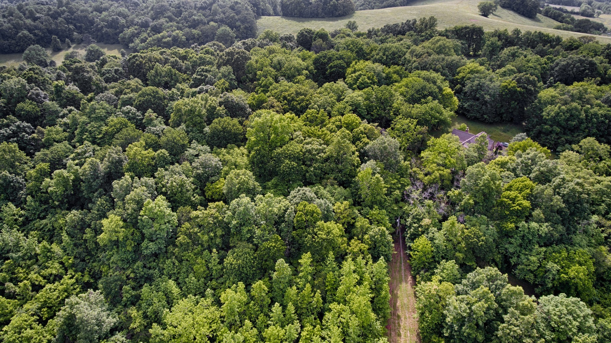 0 Bee Spring Road Dellrose, TN 38453 - Photo 2 of 4 an aerial view of residential house with outdoor space and trees all around