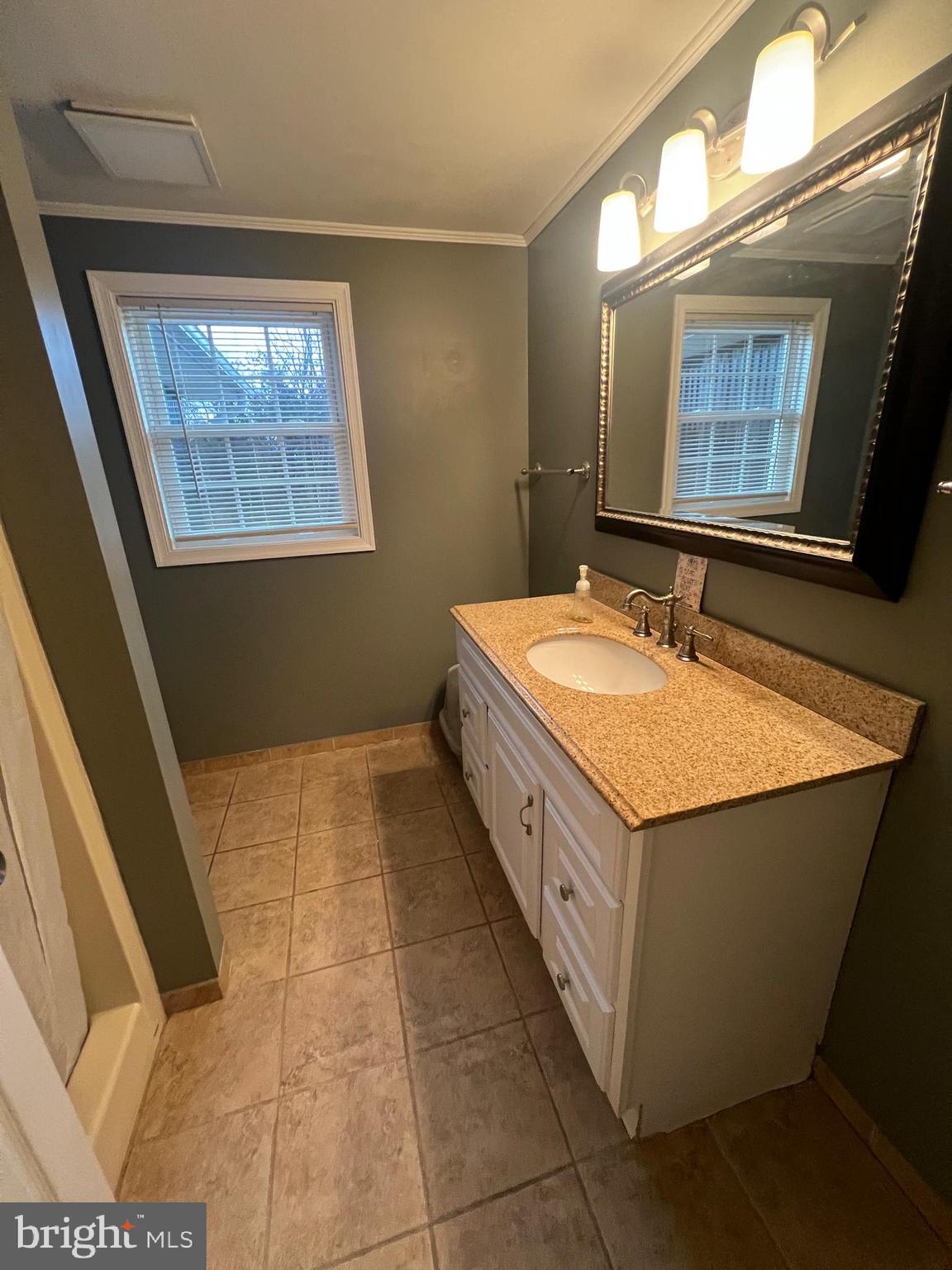 11731 Rocky Meadow Road Clear Spring, MD 21722 - Photo 17 of 41 Full bathroom with natural light